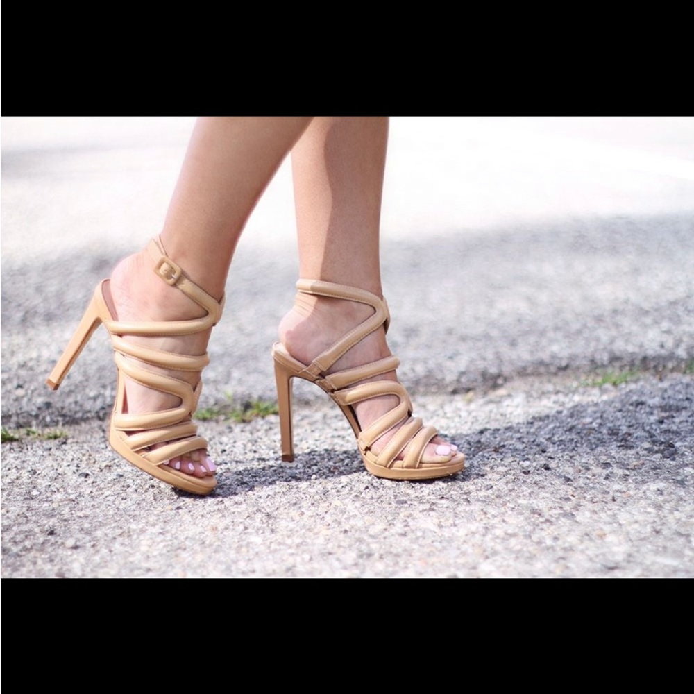 Zara Basic Nude Heels